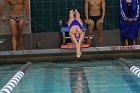 Swimming & Diving vs RWU  Swimming & Diving vs Roger Williams University. - Photo by Keith Nordstrom : Wheaton, Swimming